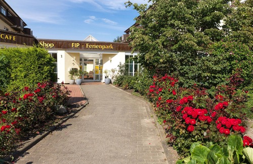 Gollwitz Apartment | Apt. GOLLIN - Cozy living just 400 meters from the natural beach.
