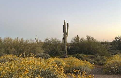 Apache Junction House | Ara 02: A one bedroom suite and rooftop viewing deck, Ara #2
