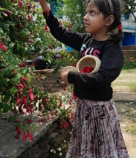 Almora House | Aranya Anandam Homestay