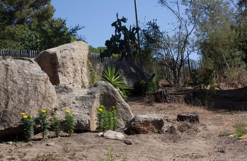 Molini Villa | Arbutus trees. Top of house with garden. 500 meters from the beach.