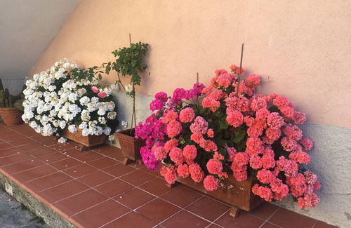 Arcola House | Arcola, 5Terre, Lerici CASA MARINA CIN: IT011002C2HF6U38K4-CITRA: 011002-LT-0011