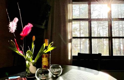 Pyhatunturi Apartment | Arctic Lodges Lapland Ski In Family Studio, Wi-Fi, National Park - Lapland Villas