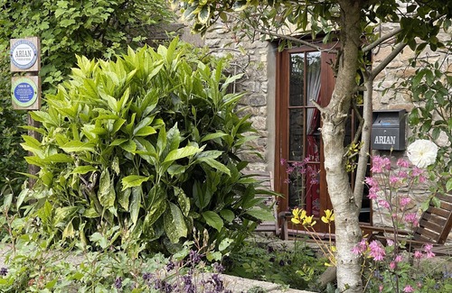 Cwmbach Cottage | Arian, our one bedroom cottage