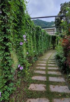 Kalka House | Aristaa Morni Hills: Pristine Stay in the Wild