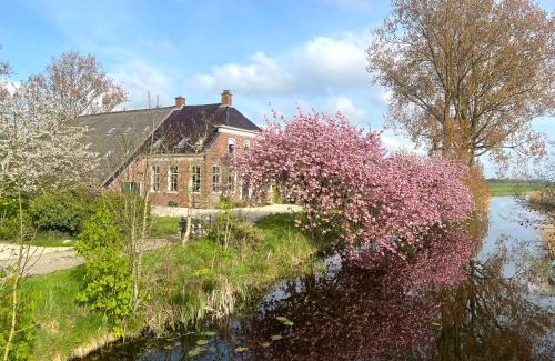 Thesinge Bed & Breakfast | Ark van Thesinge
