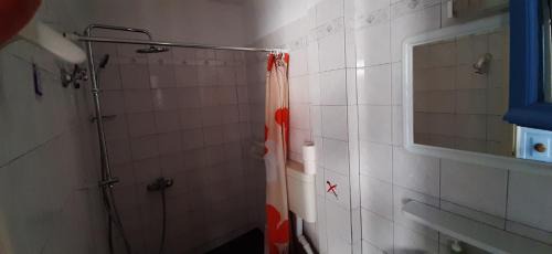 Evgiros Apartment | Armonia Apartments