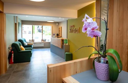 Ribcev Laz Hotel | Art Hotel Kristal