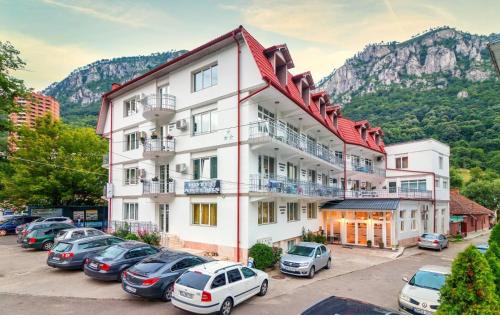 Baile Herculane Hotel | Artemis