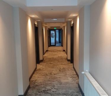 Baile Herculane Hotel | Artemis
