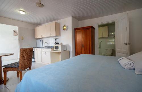 Sero Colorado Apartment | Aruba Sunrise Studio Near Baby Beach, San Nicolas