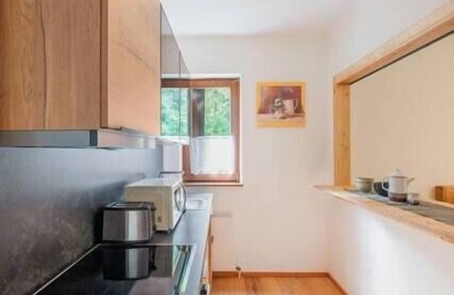 Bad Goisern Apartment | Cozy apartment with balcony near Hallstatt
