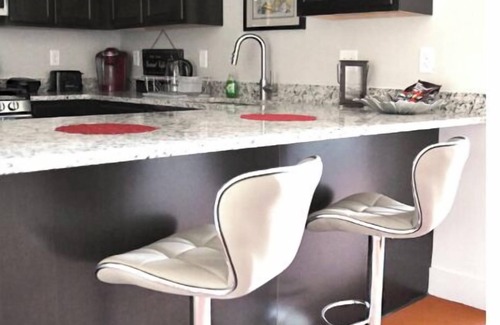 Aurora Apartment | AT YOUR SERVICE! Downtown Aurora 1 Bedroom River Facing Gem