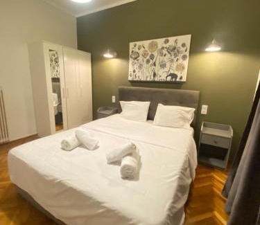 Omonia Apartment | Athens City Themis 10