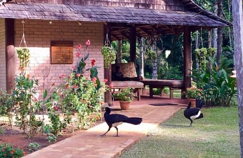 Mauisparu Cabin | Atta Rainforest Lodge