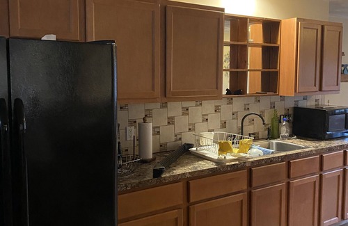 Carbondale Apartment | ATTENTION ELK MOUNTAIN -hiking,biking close to elk mountain for skiing