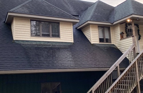 Carbondale Apartment | ATTENTION ELK MOUNTAIN -hiking,biking close to elk mountain for skiing