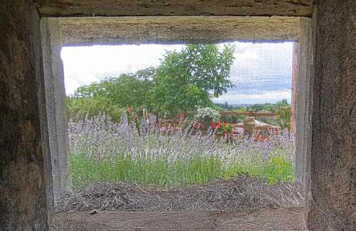 Rott House | Au Bunker 67