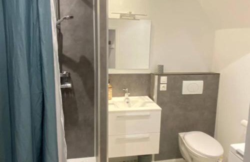 Saint-Dizier Apartment | Au Petit Bragard- triplex proche centre ville