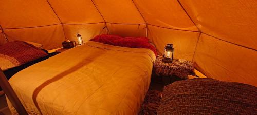 Mont-de-l'Enclus Other | Au Pied Du Trieu, the glamping experience