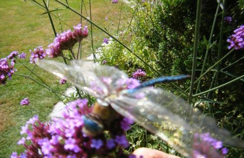 Saint-Pierre-de-Plesguen Bed & Breakfast | Au Pont Ricoul