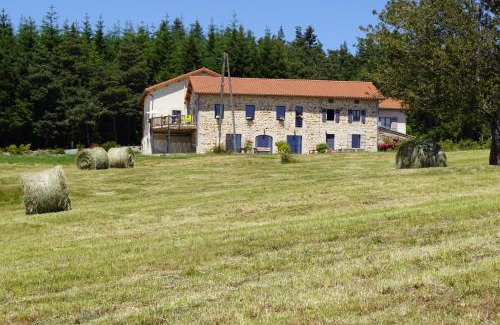 Saint-Bonnet-le-Froid Hotel | Auberge des Myrtilles