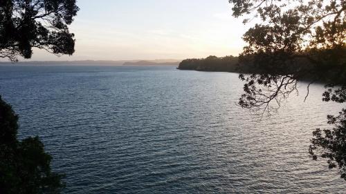 Titirangi House | Auckland Clifftop