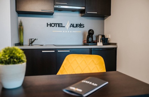 Szeged Hotel | Auris Hotel