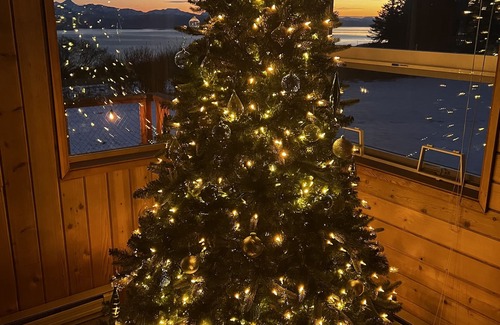 Fritz Creek House | Aurora JEWEL: SERENE with panoramic STUNNING VIEWS, delightful FAMILY retreat