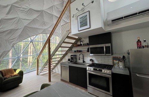 Benzonia Cabin | Aurora Luxury Dome + Hot Tub + Sauna + N MI + Kitchen + Bathroom + King + Queen!