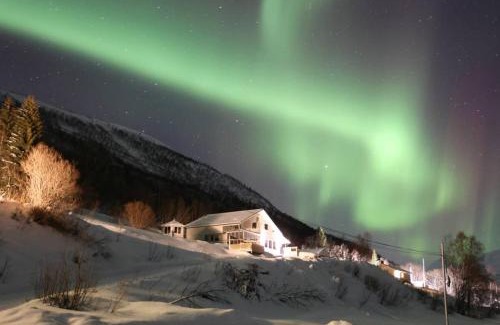 Balsfjord Apartment | Aurora panorama