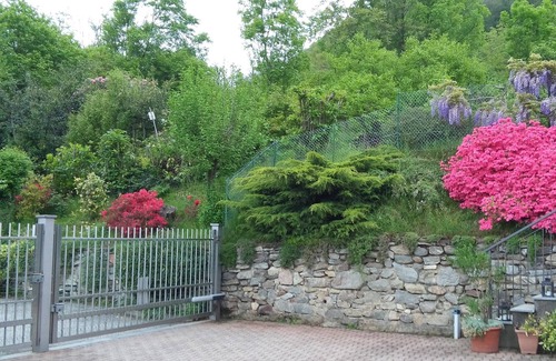 Crabbia Apartment | AURORA Suite apartment Lake Orta-beach00311600048