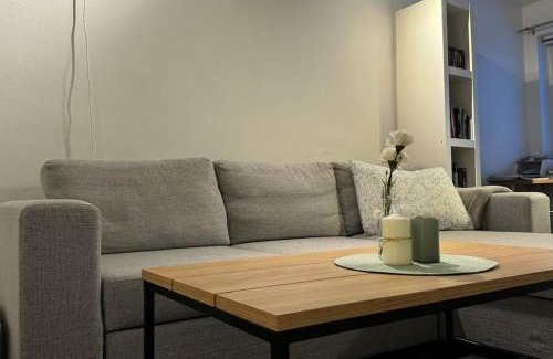 Sarpsborg Apartment | Aurora view apartment