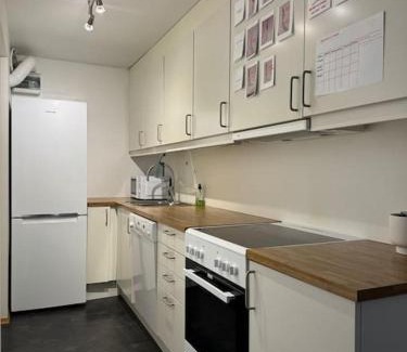 Sarpsborg Apartment | Aurora view apartment