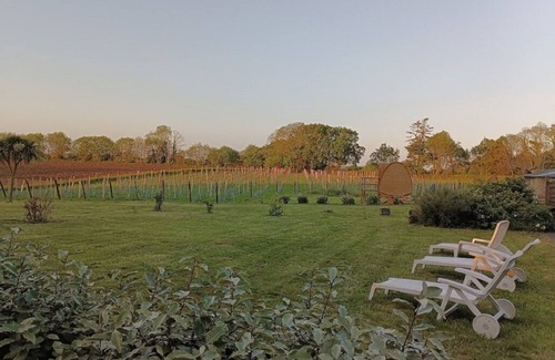 Pouldergat Cottage | Authentic cottage close to the sea with vineyard view