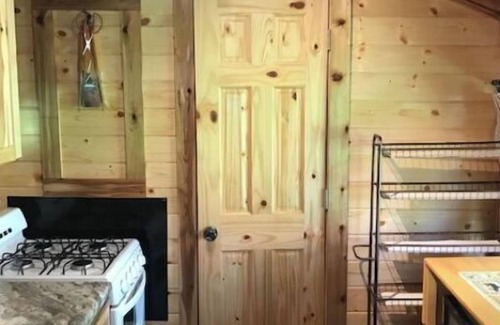 Northome Cabin | Authentic Log Cabin Island Lake Pet Friendly Northshore Bay Resort