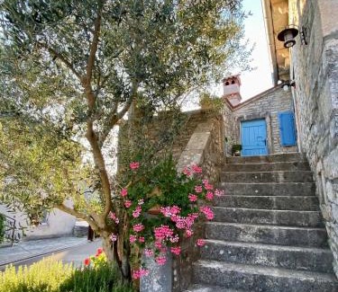 Rojnici House | Authentic stone house Miro