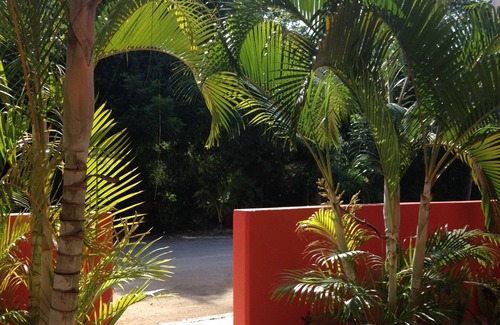 Chemuyil House | Authentic Travel Experiences await in Charming Chan Chemuyil btwn Akumal/Tulum