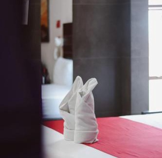 Santa Cruz Xoxocotlan Hotel | Auto Hotel Las Maravillas