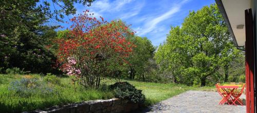 Ploulech Bed & Breakfast | Aux Arbres Chanteurs
