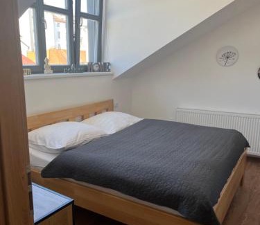 Ceske Budejovice Apartment | Aviatik apartments