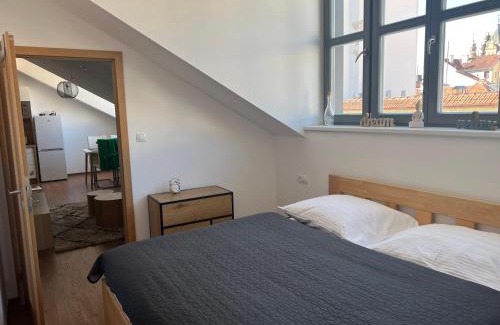 Ceske Budejovice Apartment | Aviatik apartments