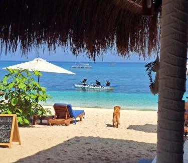 Daanbantayan Resort | Avila's Horizon Dive Resort Malapascua