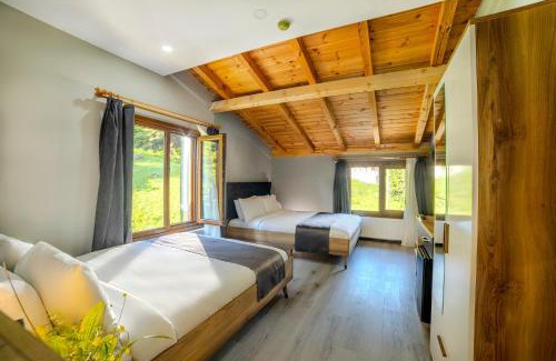 Ayder Yaylasi Hotel | Ayder Palazzo Resort