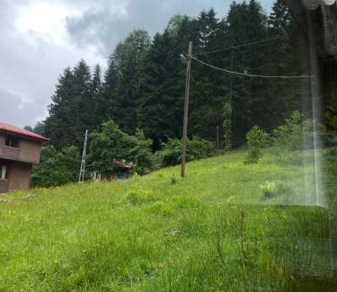 Ayder Yaylasi Villa | Ayder Wooden Rooms