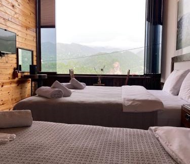 Arakli Hotel | AYVADERE 102 Karadeniz kus cenneti dağ manzaralı
