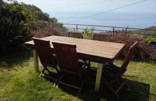 Recco House | Azalea