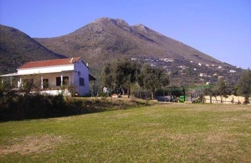 Gaeta House | AZIENDA AGRICOLA 25 PONTI