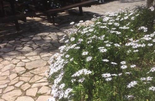 Chiesiola Bed & Breakfast | Azienda Agricola B&B Macchiaria
