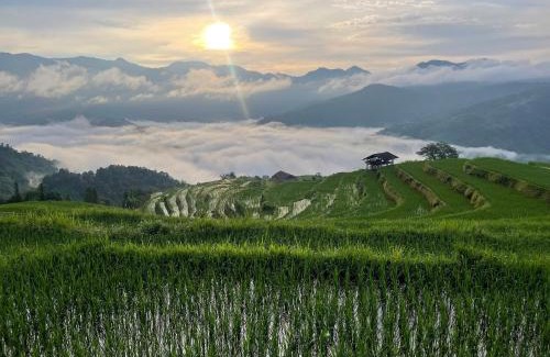 Thong Nguyen House | Bình Minh homestay