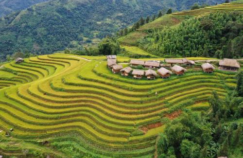 Thong Nguyen House | Bình Minh homestay